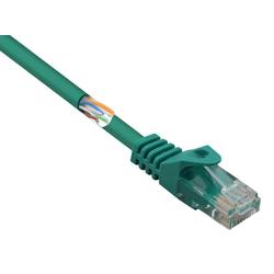 Basetech BT-2348163 RJ45 síťové kabely, propojovací kabely CAT 5e U/UTP 15.00 m zelená s ochranou 1 ks