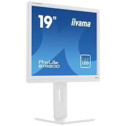 Iiyama ProLite LED monitor 48.3 cm (19 palec) 1280 x 1024 Pixel 5:4 5 ms TN LED