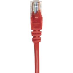 Intellinet 739863 RJ45 síťové kabely, propojovací kabely CAT 6 S/FTP 1.50 m červená fóliové stínění, stínění pletivem, bez halogenů 1 ks