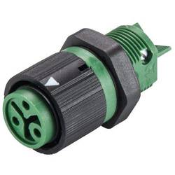 Wieland Electric RST16I3 S B1 M02 GN 46.031.5055.7 kulatý faston, 1 ks