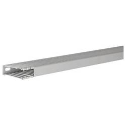 Hager BA66001507030B vodicí lišta (d x š x v) 2 m x 20 mm x 63 mm 2 m šedá