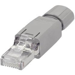 WAGO CAT5e konektor RJ45 IP20 750-975 zástrčka, rovná počet pólů: 8P8C šedá 1 ks