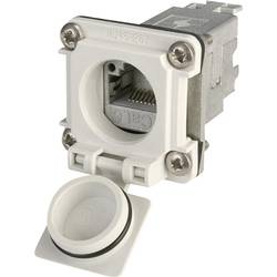 Telegärtner 100022952 STX V6 RJ45-přírub varianta 6 100022952 vestavná zásuvka počet pólů: 8P8C světle šedá 1 ks