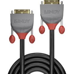 LINDY DVI kabel DVI-D 24+1pol. Zástrčka, DVI-D 24+1pol. Zástrčka 10.00 m černá 36226 DVI kabel