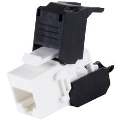 BKL Electronic 2900007 RJ45 vestavný modul CAT 6A