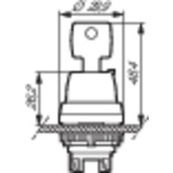 Weidmüller RCM570048, 8074670000 zátěžové relé, monostabilní, 1 cívka, 240 V/AC, 6 A, 10 ks