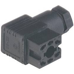 Omnitronic 30226564 XLR adaptér [1x cinch zásuvka - 1x XLR zásuvka 3pólová]