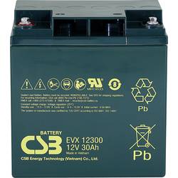 CSB Battery EVX 12300 EVX12300 olověný akumulátor 12 V 30 Ah olověný se skelným rounem (š x v x h) 166 x 175 x 125 mm šroubované M5 odolné proti více cyklům,