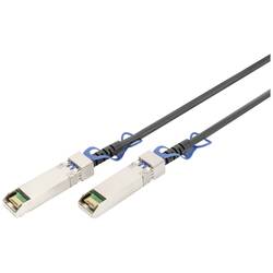 Digitus DN-81243 RJ45 Propojovací kabel z optických vláken 3.00 m černá 1 ks