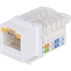 Intellinet abschließbare Cat6 Modularbuchse UTP Keystone werkzeuglos weiß RJ45 vestavný modul Keystone CAT 3, CAT 4, CAT 5, CAT 5e, CAT 6