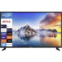 Dyon Smart 43 XT LED TV 109.2 cm 43 palec Energetická třída (EEK2021) G (A - G) DVB-T2, DVB-C, DVB-S, Full HD, Smart TV, WLAN, CI+ černá