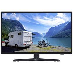 Reflexion LEDW190+ LED TV 47 cm 19 palec Energetická třída (EEK2021) F (A - G) CI+, DVB-S2, DVB-C, DVBT2 HD, Full HD černá