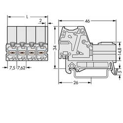 WAGO 831 zásuvkový konektor na kabel 4, rozteč 7.62 mm, 831-3204/007-000, 24 ks