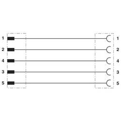 Phoenix Contact SAC-5P-M12MS/2,0-810/M12FS připojovací kabel pro senzory - aktory, 1416137, piny: 5, 2.00 m, 1 ks