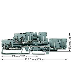 WAGO 870-131 hlavní svorka 5 mm pružinová svorka osazení: L, L šedá 40 ks