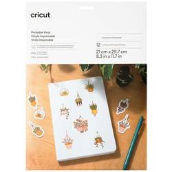 Cricut Printable Vinyl A4 Sada fólií Šířka řezu 29.7 cm transparentní