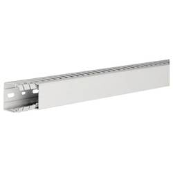 Hager HA740040 vodicí lišta (d x š x v) 2 m x 40 mm x 40 mm 2 m šedá