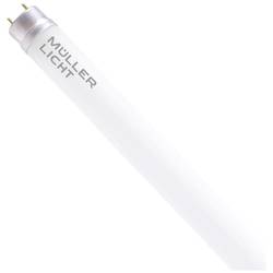 Müller-Licht LED trubice Energetická třída (EEK2021): C (A - G) G13 zářivkový tvar 21.8 W denní bílá (Ø x d) 28 mm x 1500 mm 1 ks