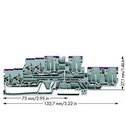 WAGO 870-138 dvojitá průchodková svorka 5 mm pružinová svorka osazení: L šedá 40 ks