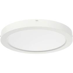 RIDI 322094 322094 LED stropní svítidlo LED bílá