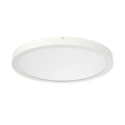 RIDI 332095 332095 LED stropní svítidlo LED bílá