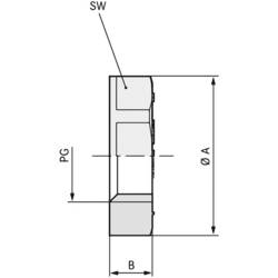 LAPP 52000130 SKINDICHT GMK PG 11 RAL 7035 LGY pojistná matka PG11 polystyren (EPS) šedobílá (RAL 7035) 100 ks