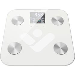 truelife FitScale W6 BT Osobní váha Max. váživost=180 kg bílá, šedá s Bluetooth