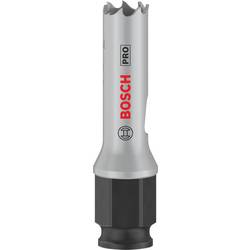 Bosch Home and Garden 2608594364 2608594364 vrtací korunka 14 mm 1 ks