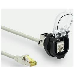 Lütze RJ45 F/M 180° 5,0m PVC CAT.6A PC Vestavná zásuvka RJ45, 493081.0500, piny: 8, 5 m, 1 ks