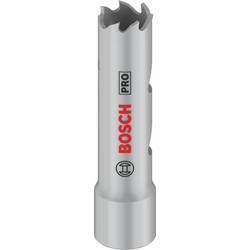 Bosch Accessories 2608901490 2608901490 vrtací korunka 14 mm 1 ks