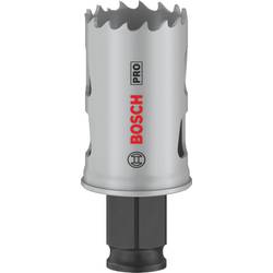 Bosch Home and Garden 2608594374 2608594374 vrtací korunka 29 mm 1 ks