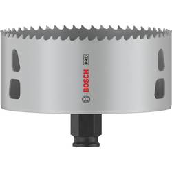 Bosch Home and Garden 2608594412 2608594412 vrtací korunka 108 mm 1 ks