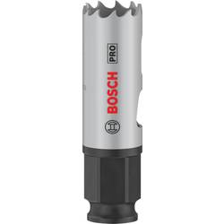 Bosch Home and Garden 2608594368 2608594368 vrtací korunka 20 mm 1 ks