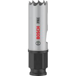 Bosch Home and Garden 2608594367 2608594367 vrtací korunka 19 mm 1 ks