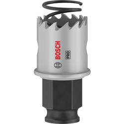 Bosch Home and Garden 2608594443 2608594443 vrtací korunka 25 mm 1 ks