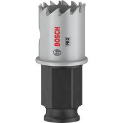 Bosch Home and Garden 2608594442 2608594442 vrtací korunka 22 mm 1 ks