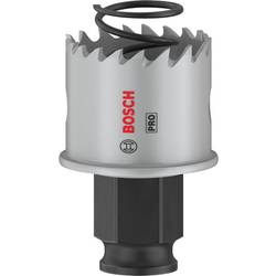 Bosch Home and Garden 2608594447 2608594447 vrtací korunka 32 mm 1 ks