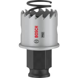 Bosch Home and Garden 2608594445 2608594445 vrtací korunka 29 mm 1 ks