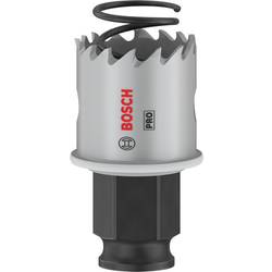 Bosch Home and Garden 2608594444 2608594444 vrtací korunka 27 mm 1 ks