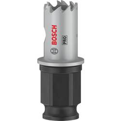 Bosch Home and Garden 2608594437 2608594437 vrtací korunka 16 mm 1 ks