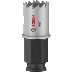 Bosch Home and Garden 2608594441 2608594441 vrtací korunka 21 mm 1 ks