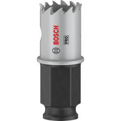 Bosch Home and Garden 2608594440 2608594440 vrtací korunka 20 mm 1 ks