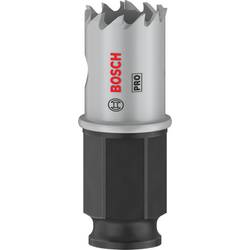 Bosch Home and Garden 2608594439 2608594439 vrtací korunka 19 mm 1 ks