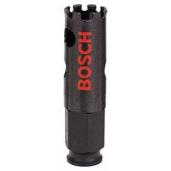 Bosch Accessories Bosch 2608580302 vrtací korunka 20 mm diamantová vrstva 1 ks