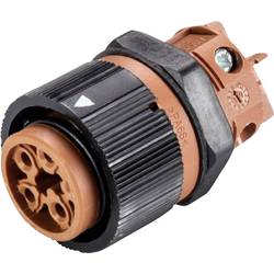 Wieland Electric RST16I5 S B1 M03 L BR 46.051.5050.4 kulatý faston, 1 ks