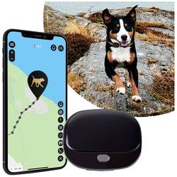 PAJ GPS PET Finder 4G 2.0 Black GSM tracker - lokalizační čip 1 ks