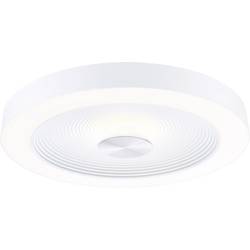 Paulmann 71179 Volea LED stropní svítidlo LED 4 W, 18.5 W bílá, stříbrná