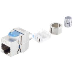 BKL Electronic 2900021 RJ45 vestavný modul CAT 8.1