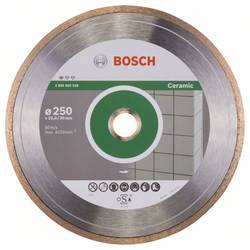 Bosch Accessories 2608602539 Bosch Power Tools diamantový řezný kotouč Průměr 250 mm 1 ks