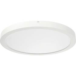 RIDI 322095 322095 LED stropní svítidlo LED bílá